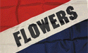 [Flowers Diagonal Flag]