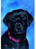 [Labrador Retriever Dog Banner]