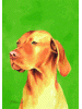 [Vizsla Dog Banner]