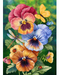 [Pansy Trio Banner]