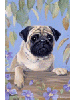 [Pug Dog Banner]