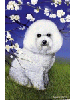 [Bichon Frise Dog Banner]