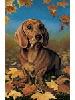 [Dachshund Dog Banner]