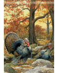 [Turkeys Banner]