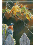 [Garden Gate Bluebird Banner]