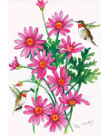 Pink Daisies Banner