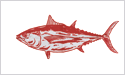 [Albacore - Fisherman's Catch Flag]