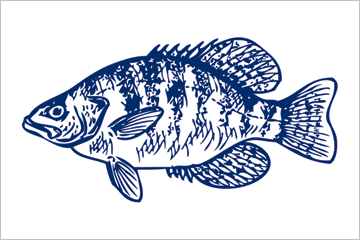 Crappie fisherman's catch flag