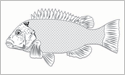 [Tautog - Fisherman's Catch Flag]