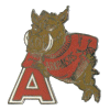 [University of Arkansas Pin]