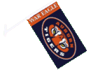 [Auburn University Car Flag]