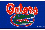 [University of Florida Flag]