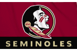 Florida State University flag