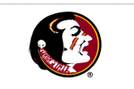 Florida State University flag