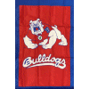 [Fresno State University Banner]