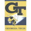 Georgia Tech flag