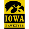 University of Iowa flag