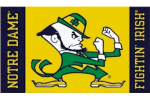 Notre Dame flag