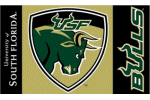 [University of South Florida Flag]