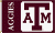 Texas A & M University flag