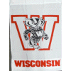 [University of Wisconsin Flag]