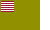 Delaware Militia flag