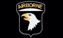 [Army 101st Airborne Lt Poly Flag]