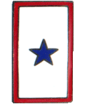 Service Star Pin