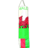 [Wales Windsock]