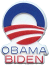 Obama Biden Pin