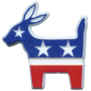 Plastic Democrat Pin