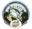 [2003 World Series Champs Marlins Pin]