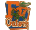 [University of Florida Pin]