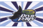 [Devil Rays Flag]