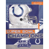 SB41 Champs banner flag