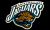 Jacksonville Jaguars flag