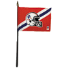 [Patriots Stick Flag]