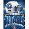 [Titans Banner Flag]