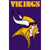 [Vikings Banner]