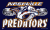 Nashville Predators flag