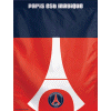 [Paris St. Germain Banner]