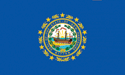 [New Hampshire Flag]