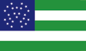 [New York City Police Department Flag]