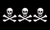 [Pirate flags]