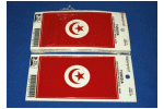 [Tunisia budget decals]